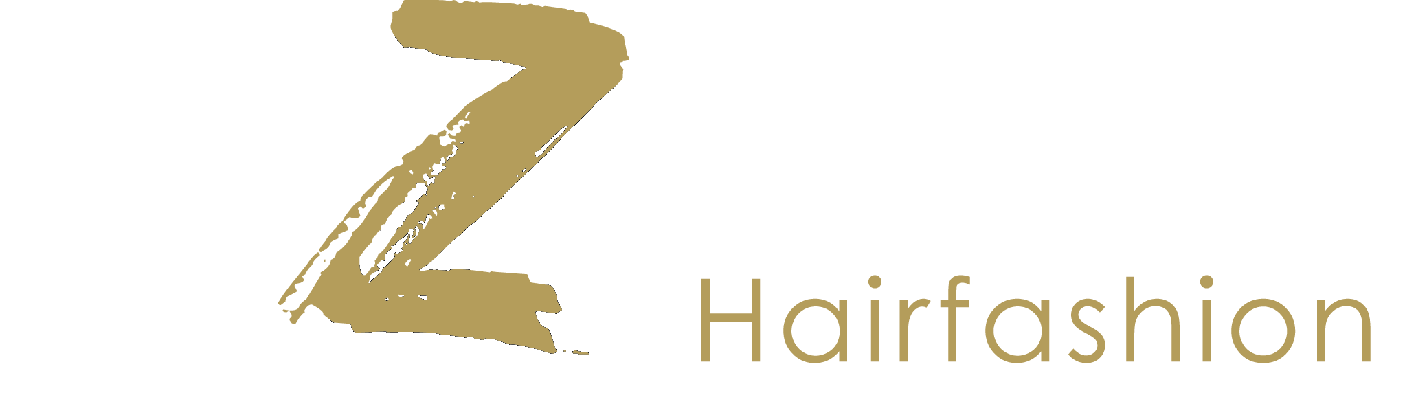 lizitta hairfashion logo